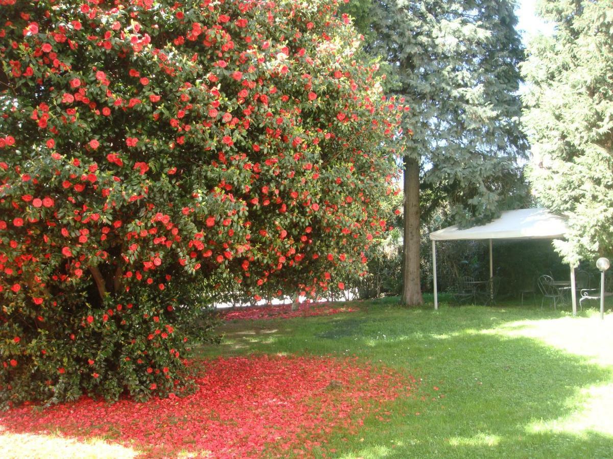 Villa Cardano Maccagno Close To Every Destination 외부 사진
